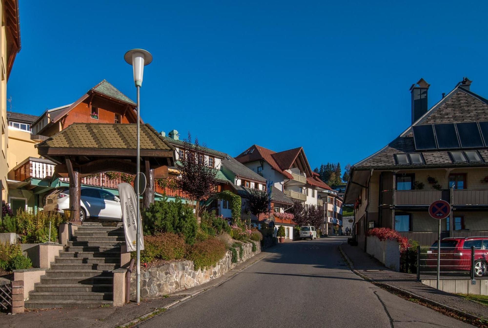 Apartment 06 - Ferienresidenz Roseneck, 2 Schlafzimmer, Mit Schwimmbad In Todtnauberg Bei Feldberg Exteriér fotografie