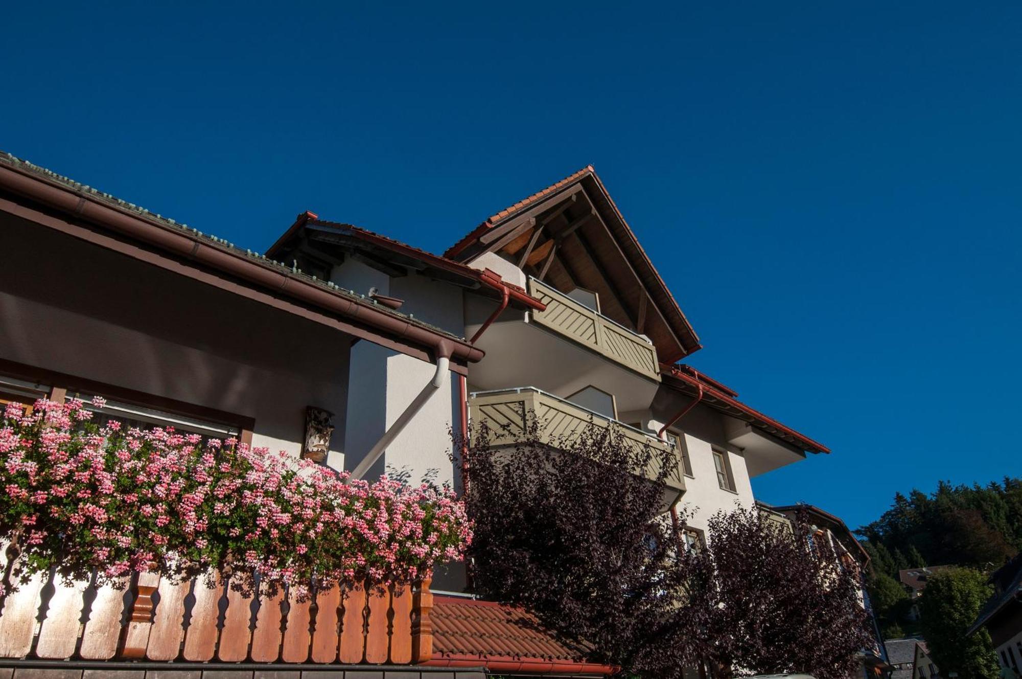 Apartment 06 - Ferienresidenz Roseneck, 2 Schlafzimmer, Mit Schwimmbad In Todtnauberg Bei Feldberg Exteriér fotografie