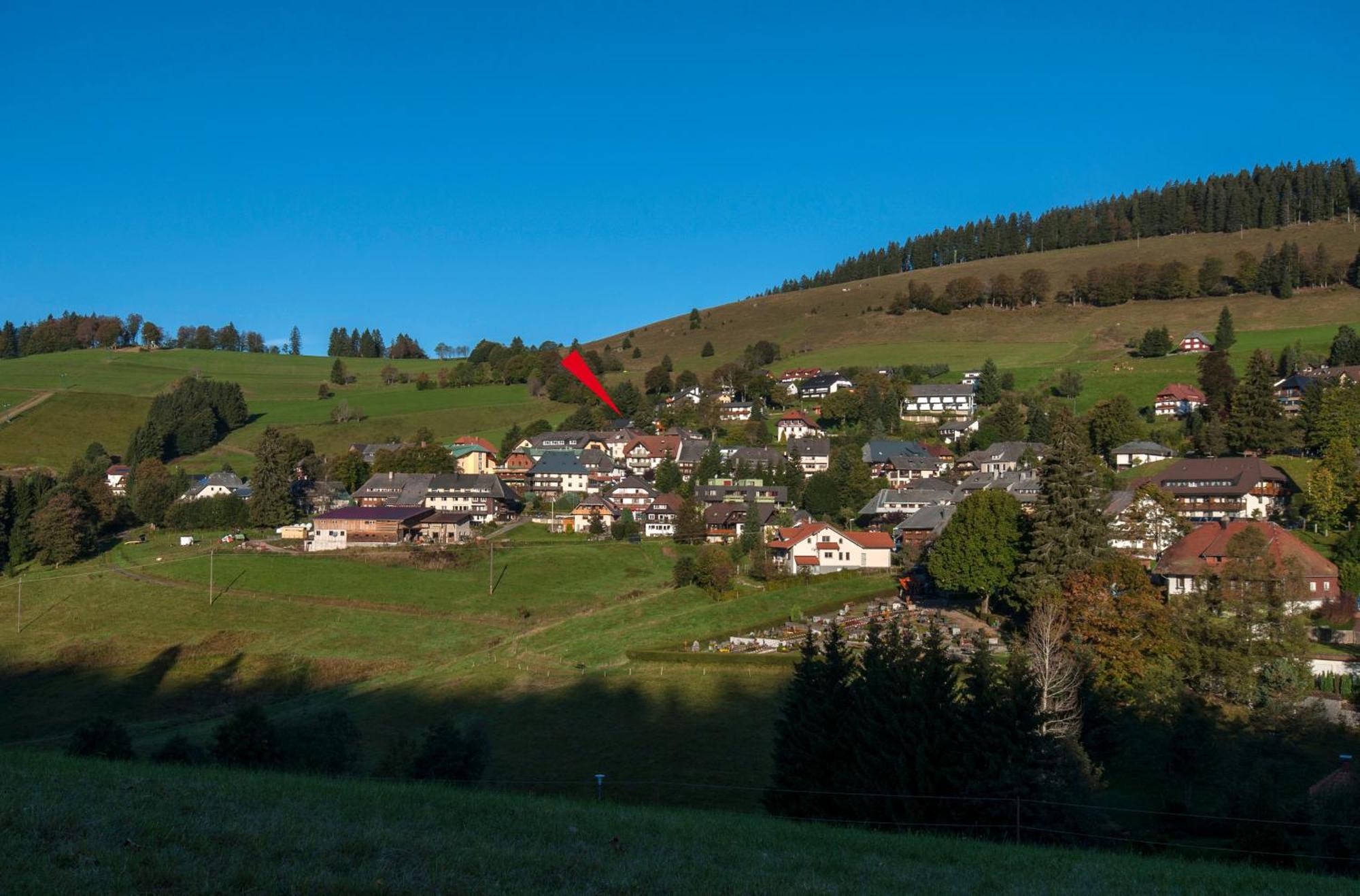 Apartment 06 - Ferienresidenz Roseneck, 2 Schlafzimmer, Mit Schwimmbad In Todtnauberg Bei Feldberg Exteriér fotografie